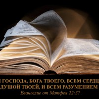 Conferința Tineretului